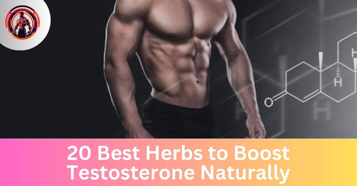 20 best herbs to boost testosterone naturally ai personal trainer getfitter